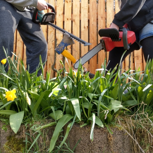 Zwei Kinder stehen einander gegenüber in einem Garten, ihre Gesichter sind nicht zu sehen. Das linke Kind hält eine elektrische Heckenschere, das rechte eine rote Kettensäge. Zwischen ihnen ragt eine Axt mit blauem Kopf und gelbem Stiel vom Boden in die Luft. Das Kind, das die Axt hält, liegt hinter dem Grünzeug am Boden und ist nicht zu sehen. Die drei Werkzeuge kreuzen sich über einem üppig bewachsenen Blumenbeet mit grünen Blättern, Tulpen und gelben Narzissen. Im Hintergrund steht ein Holzzaun aus senkrechten Brettern. Das Bild ist aus niedriger Perspektive aufgenommen, beinahe auf Höhe der Blumen.